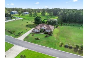 31318 SUNNY MEADOW COURT, LEESBURG, FL 34748 - MLS#MFRG5103193