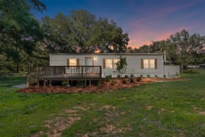 17123 Se 173rd Terrace Rd, WEIRSDALE