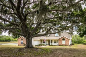 17728 PALM VIEW CIRCLE, MOUNT DORA, FL 32757 - MLS#MFRG5103252