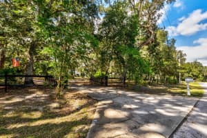 16758 181ST TERRACE, WEIRSDALE, FL 32195 - MLS#MFRG5103272