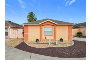 604 NUEVO LEON LANE, THE VILLAGES, FL 32159 - MLS#MFRG5103278