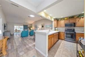 1428 GAYLE MILL DRIVE, THE VILLAGES, FL 32162 Sold 11/06/25