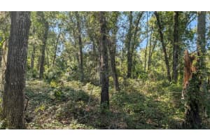 2500 PLYMOUTH SORRENTO ROAD, APOPKA, FL 32712 Sold 03/30/26