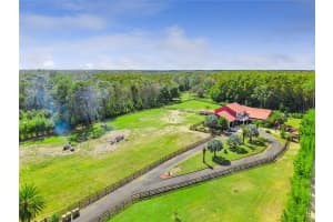8515 BAY LAKE ROAD, GROVELAND, FL 34736 - MLS#MFRG5103464
