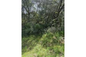 16593 31ST CIRCLES, OCALA, FL 34473 - MLS#MFRG5103468