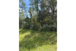 16593 31ST CIRCLES, OCALA, FL 34473 - MLS#MFRG5103468