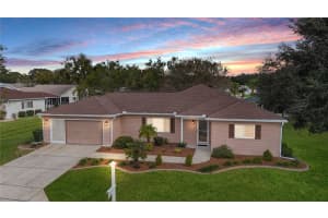 13655 90TH COURT, SUMMERFIELD, FL 34491 - MLS#MFRG5103477