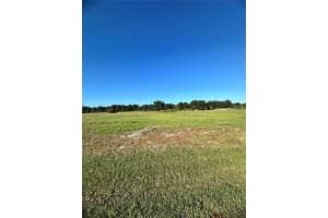 38793 RANCH GATE BOULEVARD, UMATILLA, FL 32784 - MLS#MFRG5103556
