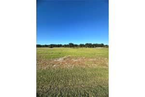 38793 RANCH GATE BOULEVARD, UMATILLA, FL 32784 - MLS#MFRG5103556