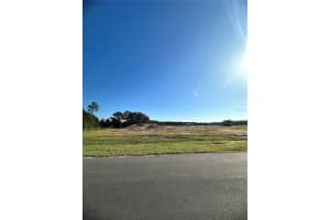 38404 WOODED MEADOW DRIVE, UMATILLA, FL 32784 - MLS#MFRG5103557