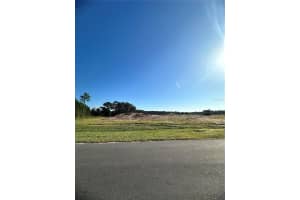 38404 WOODED MEADOW DRIVE, UMATILLA, FL 32784 - MLS#MFRG5103557