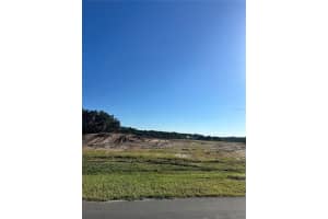 38404 WOODED MEADOW DRIVE, UMATILLA, FL 32784 - MLS#MFRG5103557