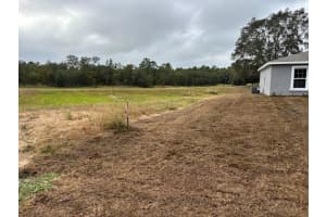 1542 BELEN DRIVE, CITRUS SPRINGS, FL 34434 Sold 11/14/25