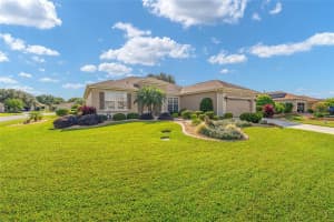 9446 125TH STREET, SUMMERFIELD, FL 34491 - MLS#MFRG5103569