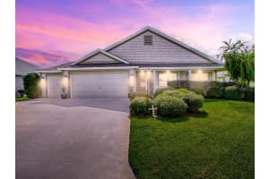 458 JUNGLE PLUM WAY, THE VILLAGES, FL 32163 - MLS#MFRG5103594