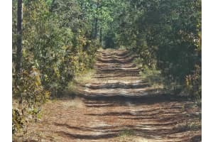 13099 92ND PLACE, DUNNELLON, FL 34432 - MLS#MFRG5103613