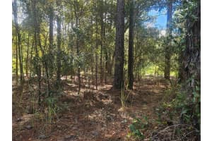 XXXX 92ND PLACE, DUNNELLON, FL 34432 - MLS#MFRG5103615