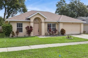 3711 MEADOW GREEN DRIVE, TAVARES, FL 32778 - MLS#MFRG5103632