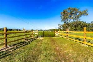 15530 47TH AVENUE, SUMMERFIELD, FL 34491 - MLS#MFRG5103642