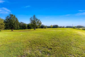 15530 47TH AVENUE, SUMMERFIELD, FL 34491 - MLS#MFRG5103642