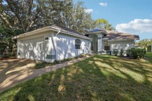 6001 Spring Creek Ct, MOUNT DORA