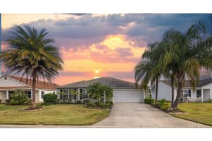 1393 DUCKSBURY STREET, THE VILLAGES, FL 32163 Sold 12/19/25