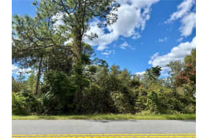 LOT 11 ROYAL TRAILS ROAD, EUSTIS, FL 32726 - MLS#MFRG5103697