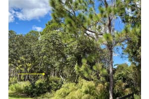 LOT 11 ROYAL TRAILS ROAD, EUSTIS, FL 32726 - MLS#MFRG5103697