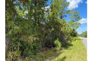 LOT 11 ROYAL TRAILS ROAD, EUSTIS, FL 32726 - MLS#MFRG5103697