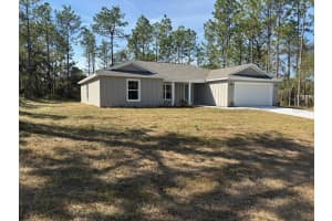 10943 WALK TERRACE, CITRUS SPRINGS, FL 34433 - MLS#MFRG5103709