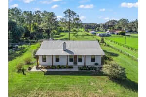 15636 N HIGHWAY 329, REDDICK, FL 32686 - MLS#MFRG5103778