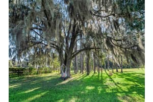 15636 N HIGHWAY 329, REDDICK, FL 32686 - MLS#MFRG5103778