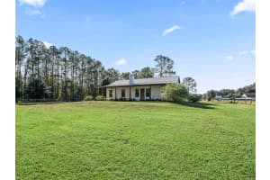 15636 N HIGHWAY 329, REDDICK, FL 32686 - MLS#MFRG5103778
