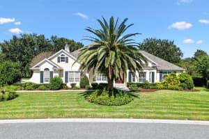 664 TERNBERRY FOREST DRIVE, THE VILLAGES, FL 32162 - MLS#MFRG5103786