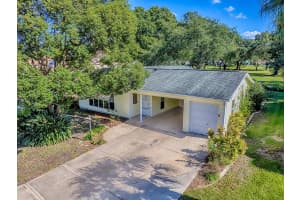 1133 DEL TORO DRIVE, THE VILLAGES, FL 32159 - MLS#MFRG5103791