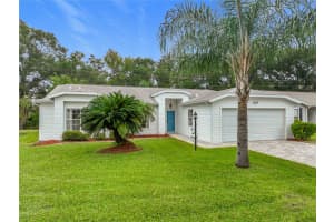 5053 EL DESTINO DRIVE, LEESBURG, FL 34748 - MLS#MFRG5103903