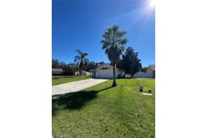 11748 CONSTANCE WAY, CLERMONT, FL 34711 - MLS#MFRG5103943