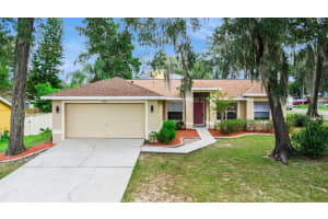 1961 BURBERRY STREET, APOPKA, FL 32703 - MLS#MFRG5103952