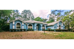 2920 LANTANA DRIVE, BEVERLY HILLS, FL 34465 - MLS#MFRG5103954