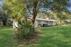 42211 MAGGIE JONES ROAD, PAISLEY, FL 32767 - MLS#MFRG5104048