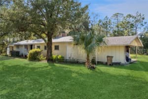 42211 MAGGIE JONES ROAD, PAISLEY, FL 32767 - MLS#MFRG5104048