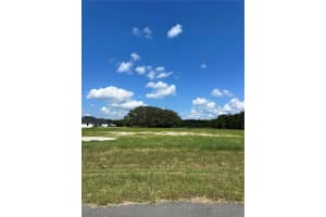 20276 SHORELINE RANCH LANE, UMATILLA, FL 32784 - MLS#MFRG5104053