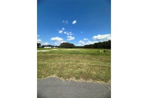 20276 SHORELINE RANCH LANE, UMATILLA, FL 32784 - MLS#MFRG5104053