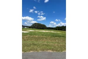 20276 SHORELINE RANCH LANE, UMATILLA, FL 32784 - MLS#MFRG5104053