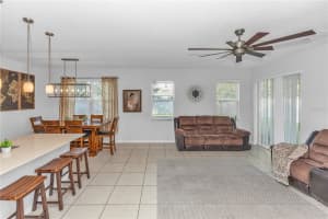 3301 BETHPAGE LOOP, MOUNT DORA, FL 32757 - MLS#MFRG5104079