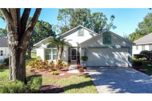 3906 DOUNE WAY, CLERMONT, FL 34711 - MLS#MFRG5104100