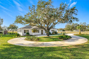 8440 FLORIDA BOYS RANCH ROAD, GROVELAND, FL 34736 - MLS#MFRG5104107