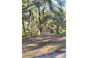 17446 134TH AVENUE ROAD, WEIRSDALE, FL 32195 - MLS#MFRG5104118