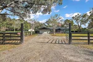 33736 LAKE JOANNA DRIVE, EUSTIS, FL 32736 - MLS#MFRG5104194