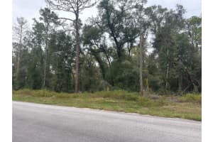 8723 ALAMEDA DRIVE, DUNNELLON, FL 34434 Sold 02/26/26